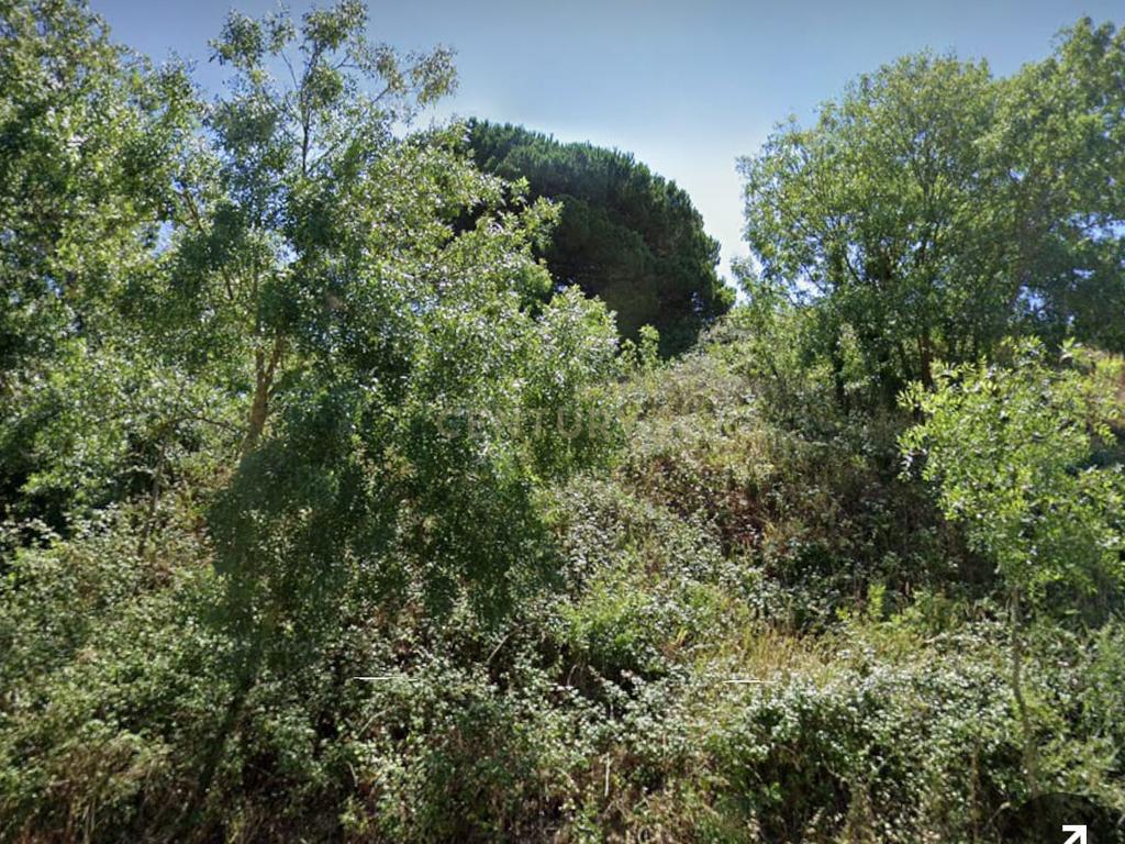 Terreno Rústico em Sintra: Localização Privilegiada e Tranquila- Almargem do Bispo - Image 4