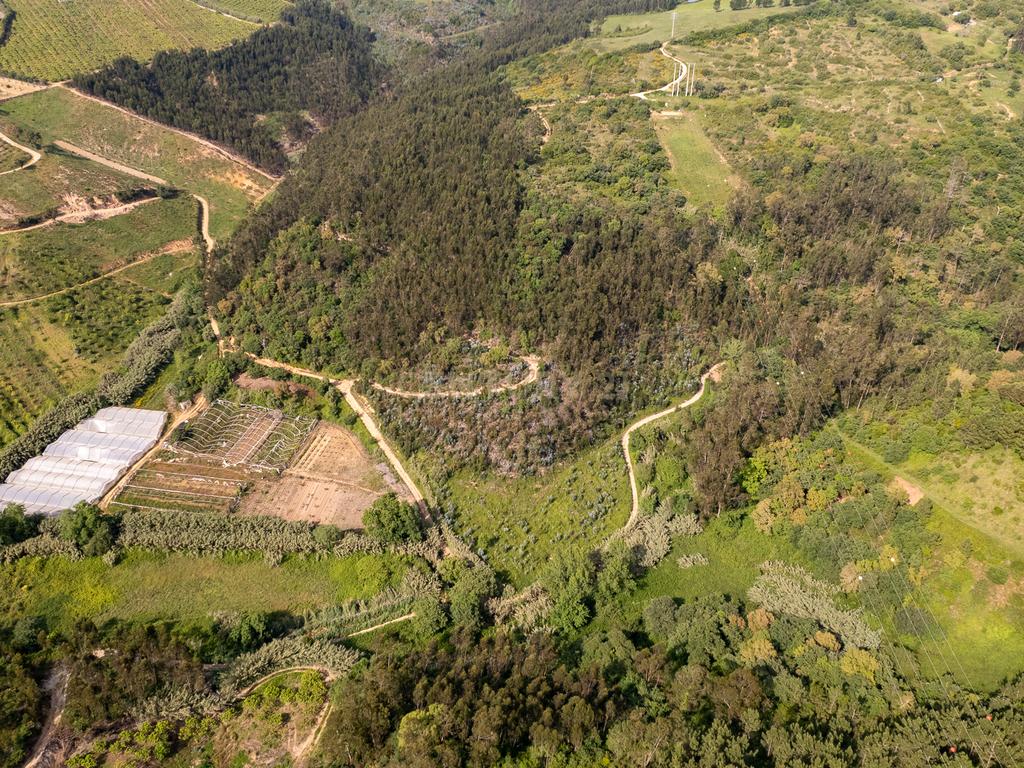 Terreno Rústico com mais de 1.5 Hectares em Mafra – Vista Linda e Perto da Ericeira! - Image 4