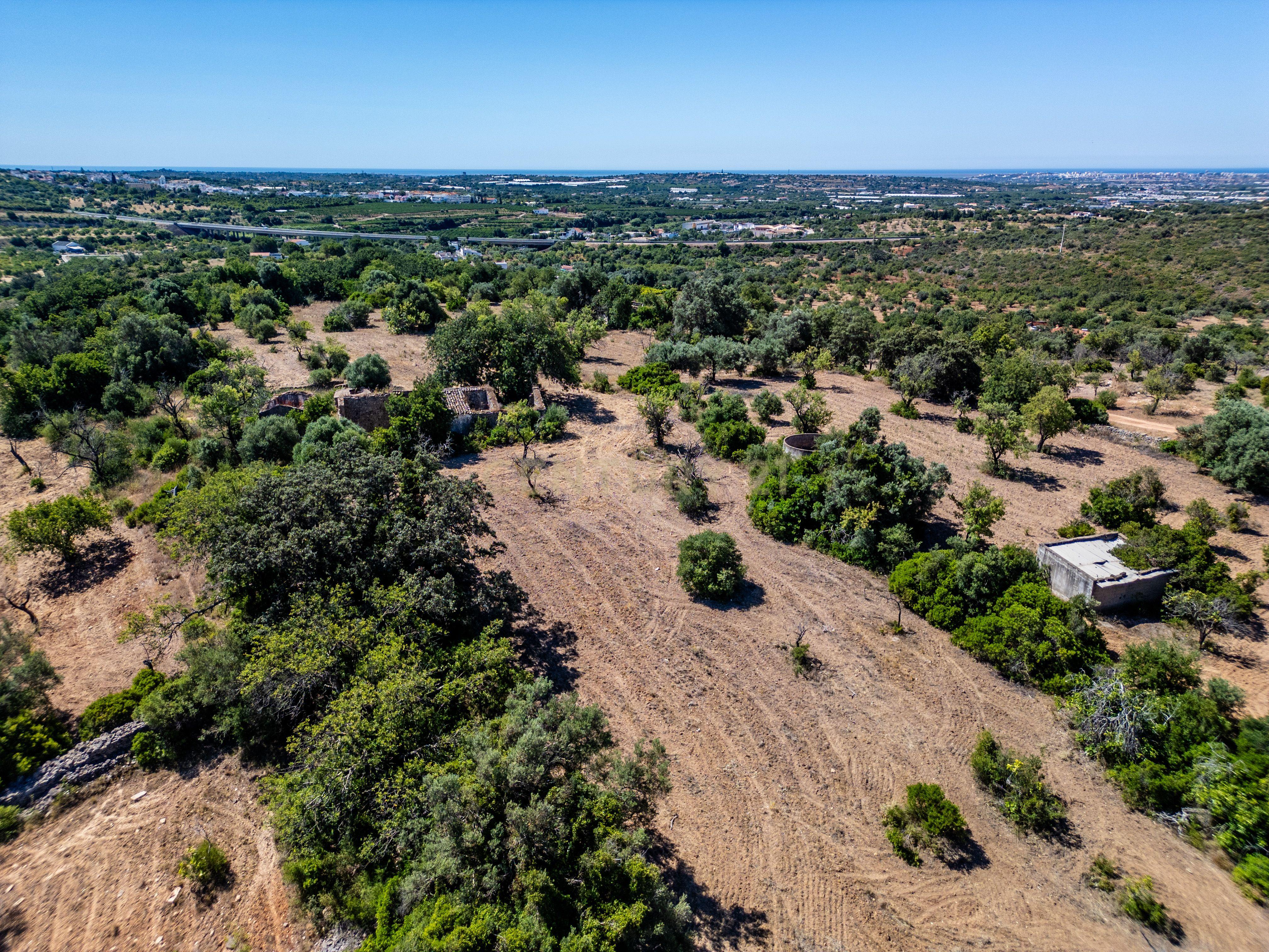 Fotografia 6 de Terreno com 16.700 m² + Ruína | Vista Mar e Serra | Conceição e Estoi – Faro