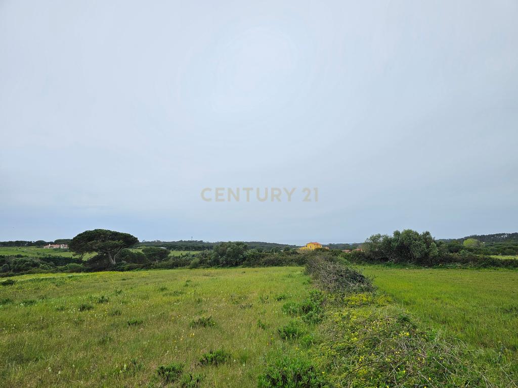 Terreno Rústico | 14160m2 | Sintra | Fontanelas | Av. Nossa Senhora da Esperança - Image 19