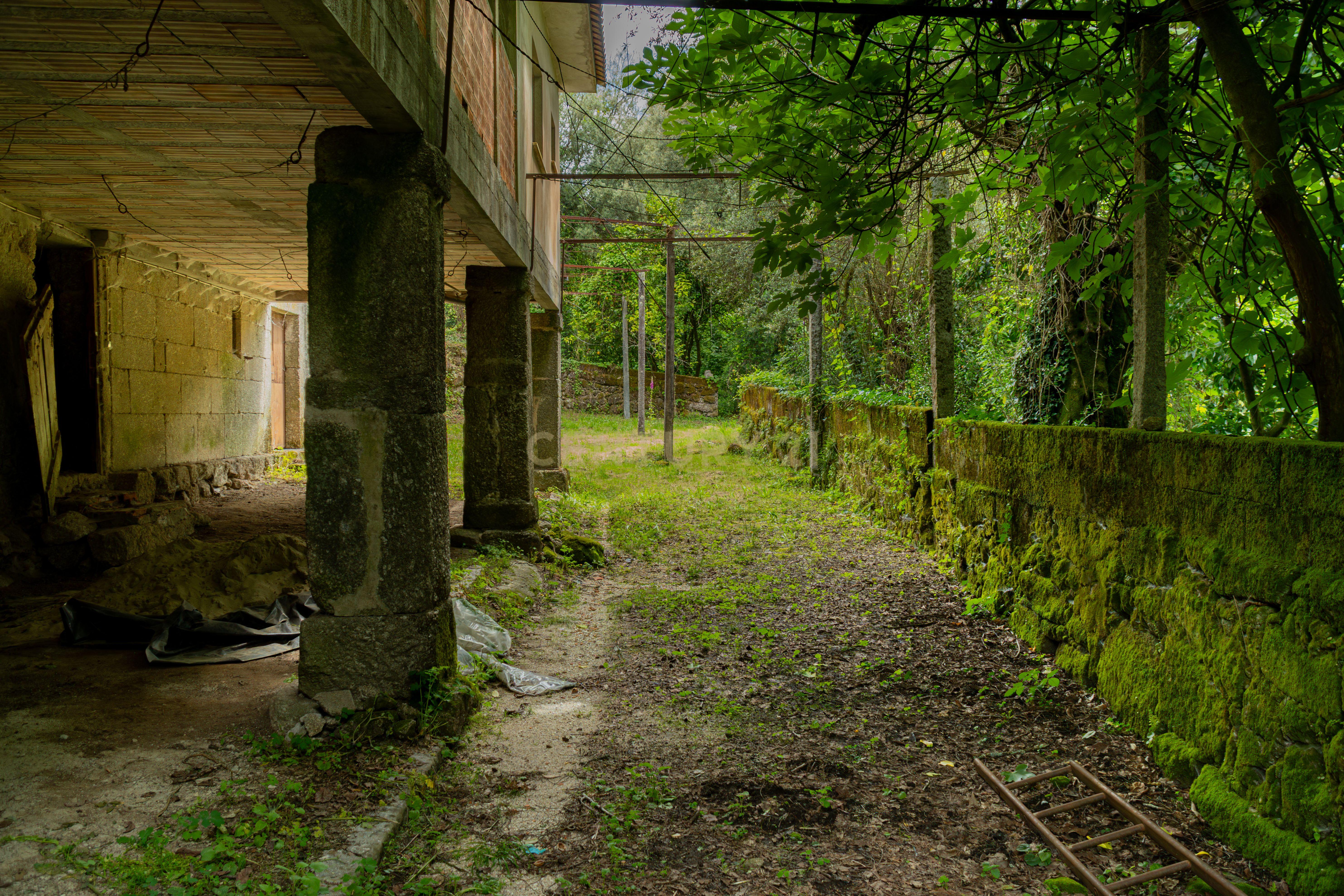 Fotografia 6 de Quinta dos Sonhos em Braga: 10 Hectares de História, Natureza e Potencial Turístico Inigualável