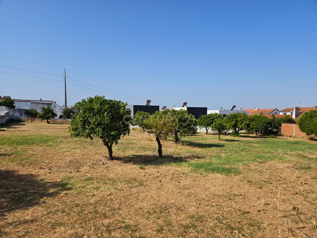 Terreno Urbano em Atalaia Vila Nova da Barquinha - Image 3