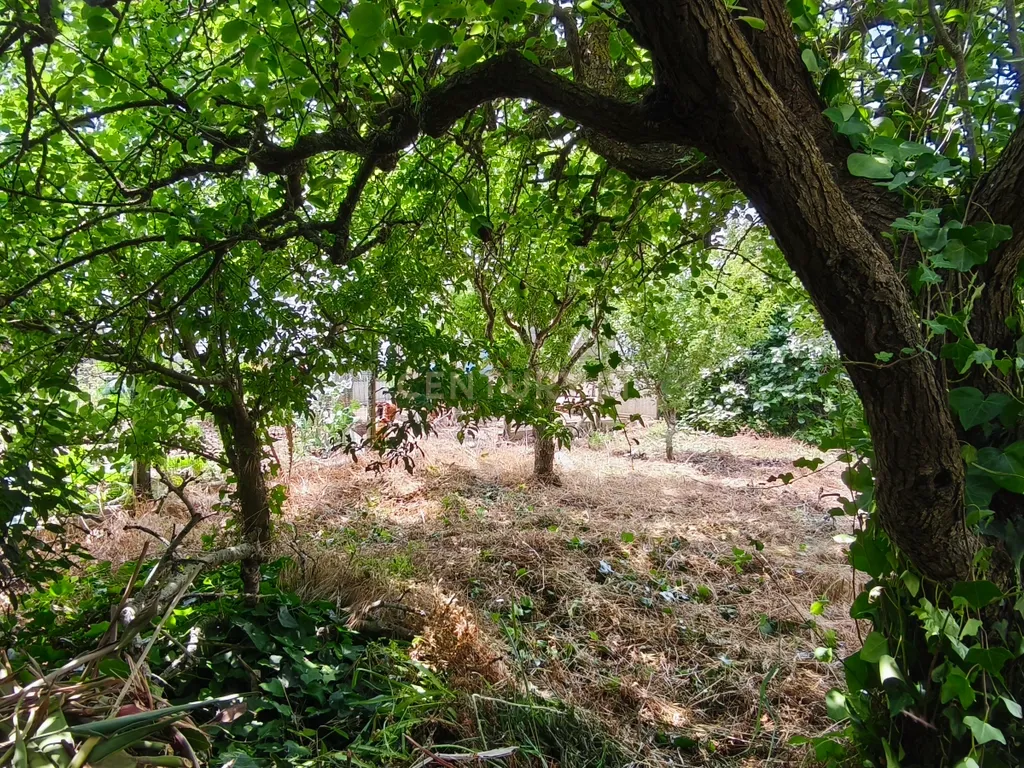 Moradia T4 em Torres Vedras em lote de 625m2 - Image 15