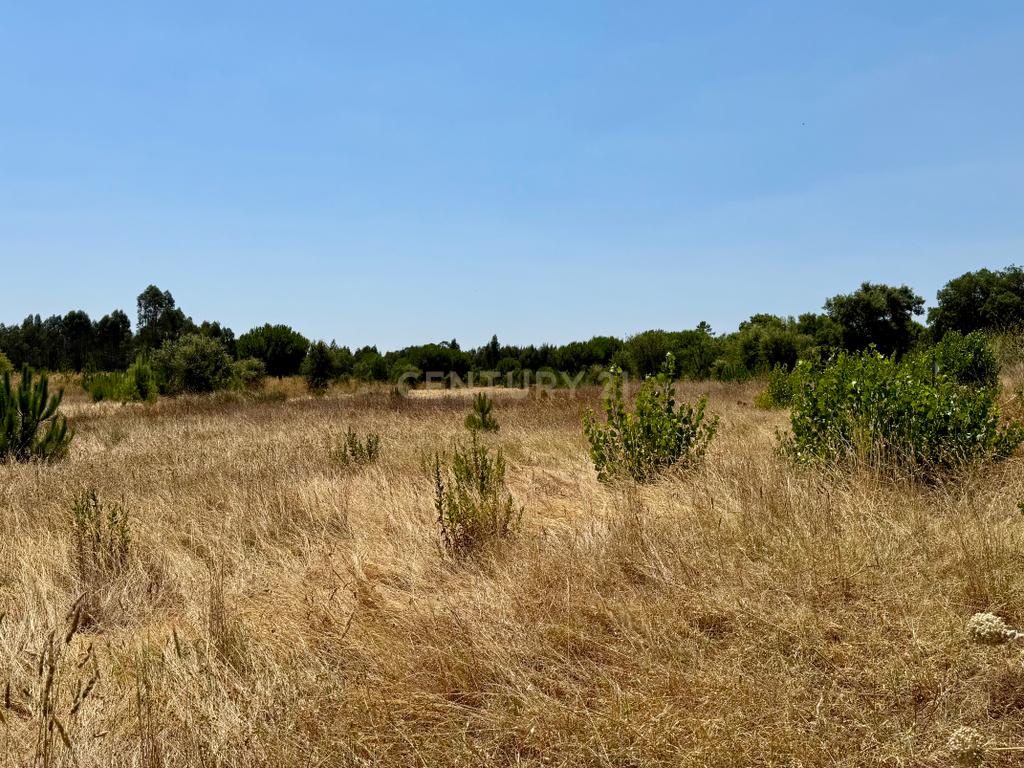 Terreno com 94.000 m2 na zona do Novo Aeroporto de Lisboa, Santo Estêvão, Benavente. Em venda! - Image 6