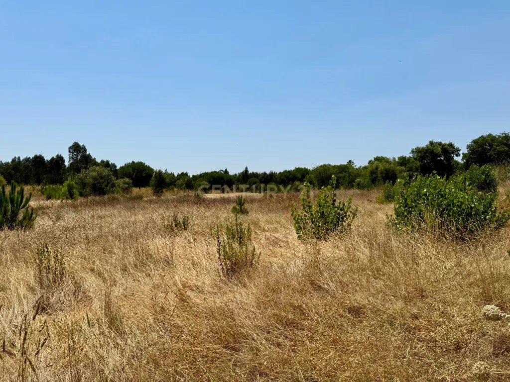 Terreno com 94.000 m2 na zona do Novo Aeroporto de Lisboa, Santo Estêvão, Benavente. Em venda! - Image 6