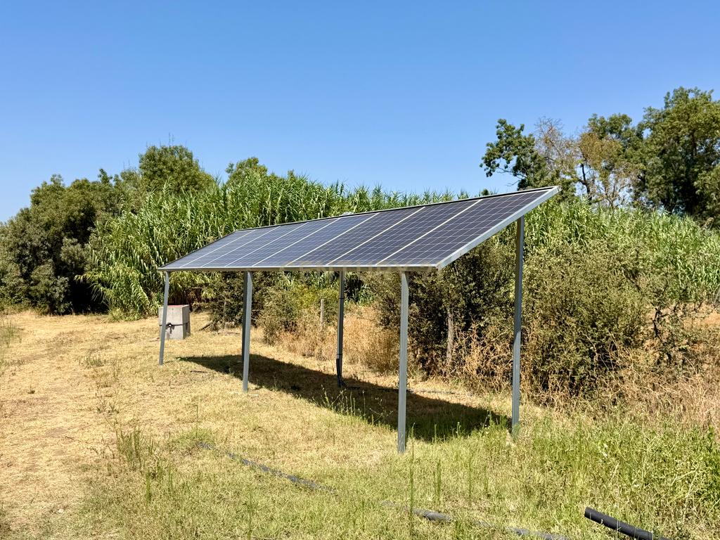 Herdade da Pandeira (93 Hectares) Vinha e Olival em Produção em Reguengos de Monsaraz. - Image 27