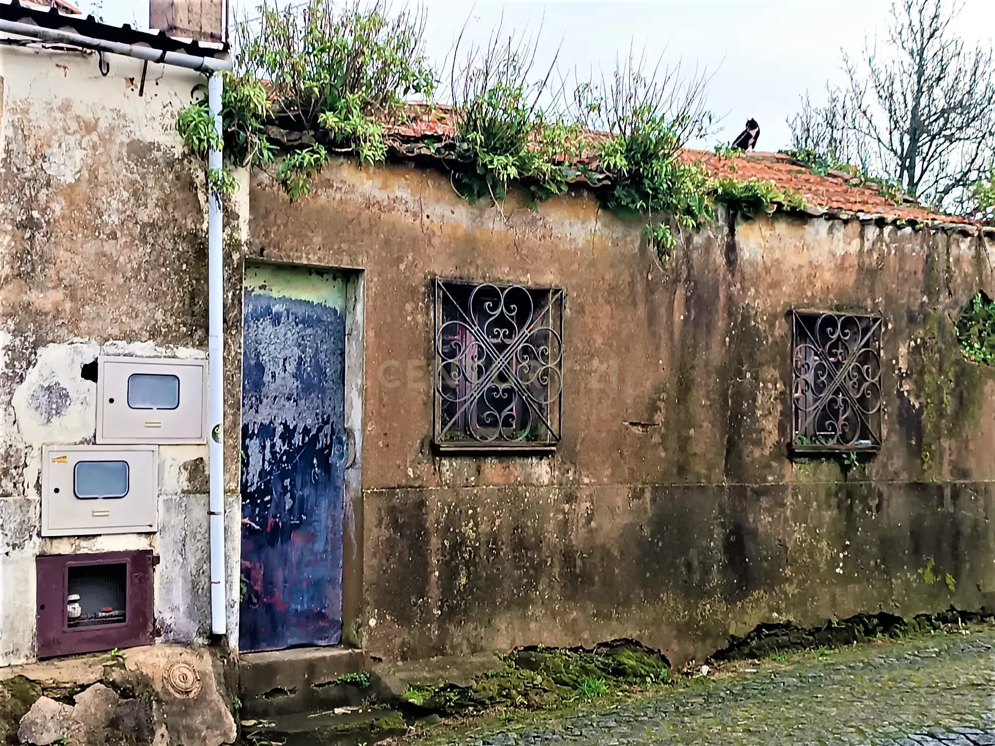 Duas moradias juntas para remodelar ou edificar 3 mordias à entrada de Esmoriz, Ovar, Aveiro - Image 16