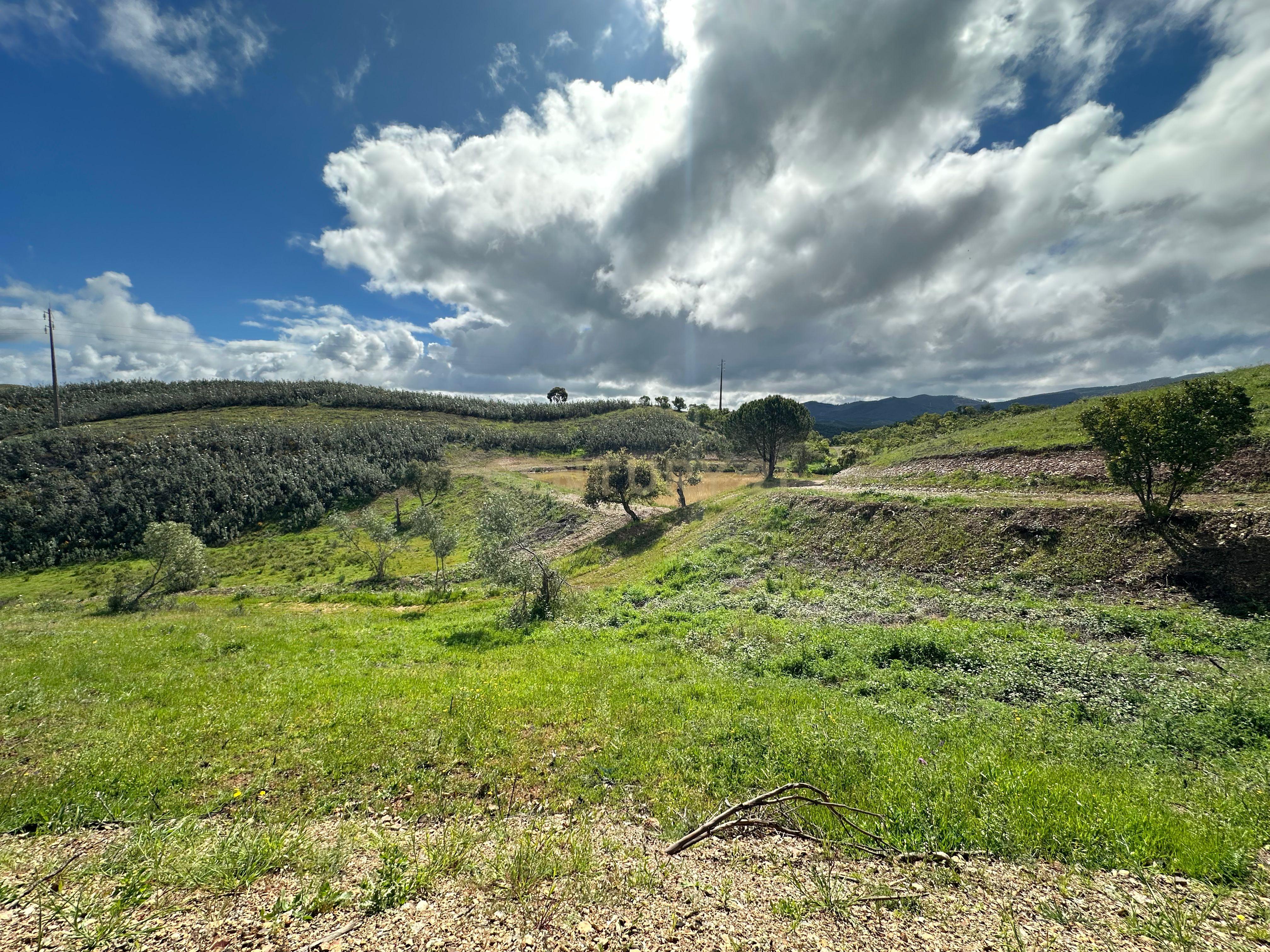 Fotografia 5 de Ruína de 81m2 + Terreno de 3,7ha | Perto de Praia do Carvalhal