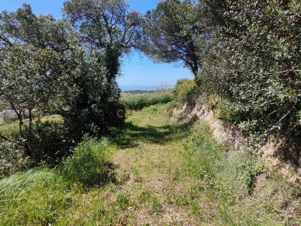 Terreno na Nazaré - Image 22