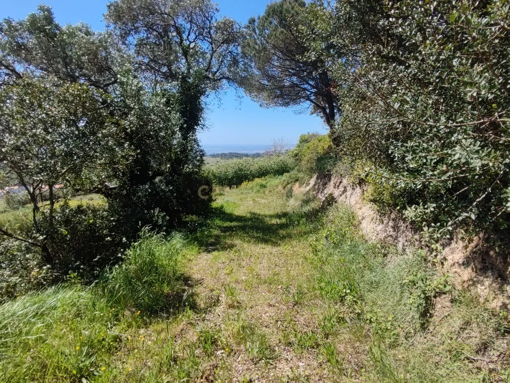 Terreno na Nazaré - Image 22