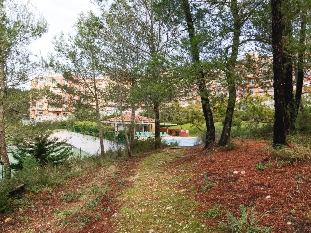 Apartamento como novo T3 – Quinta Da Graciosa, Estoril - Image 45