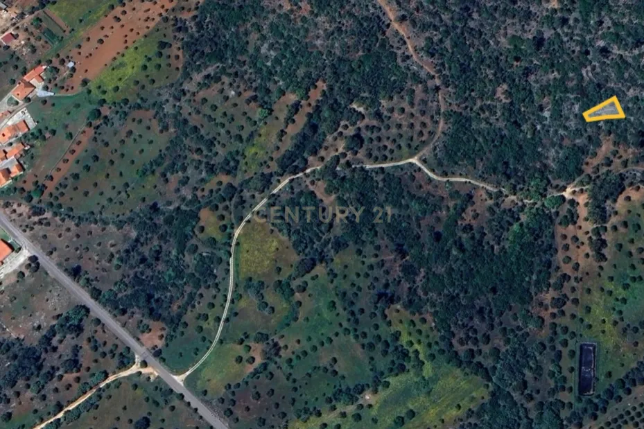 Terreno Rústico – Serra de Aire - Image 4