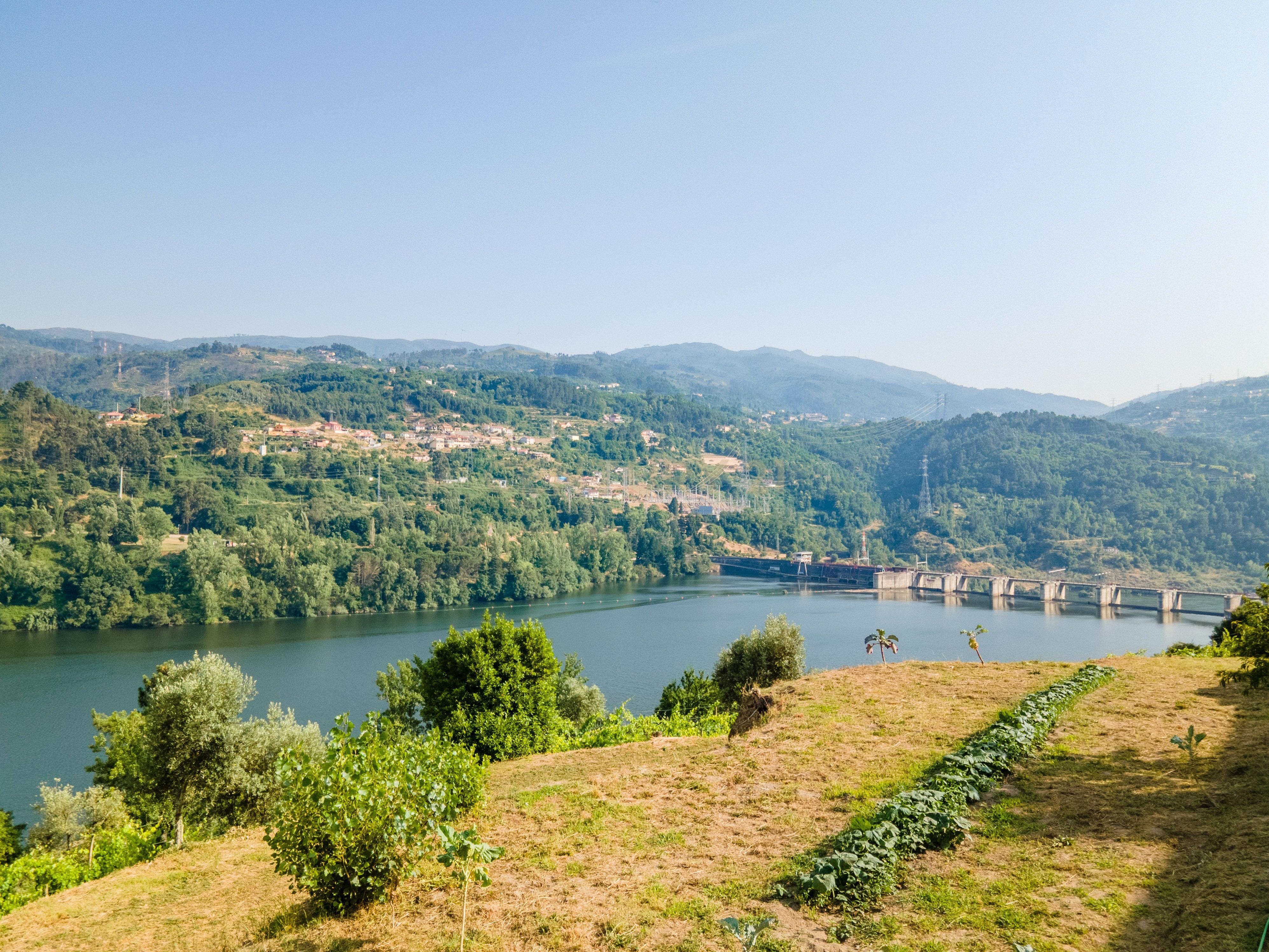 Quinta com Vista Deslumbrante sobre o Rio Douro – Projeto Aprovado para Hotel Rural | Paços de Gaiolo - Image 17