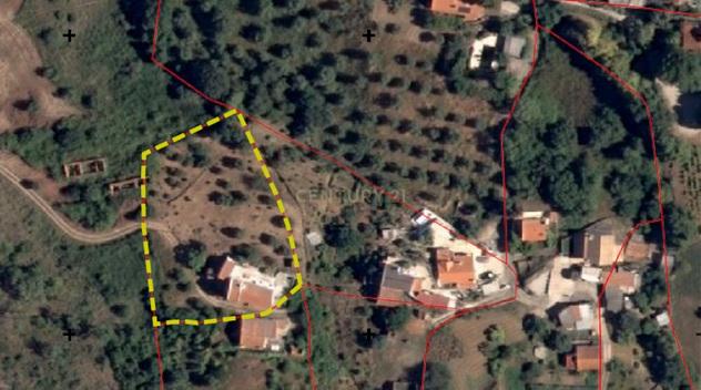 Quinta de 3.500 m2 na Serra da Arrábida - Image 6