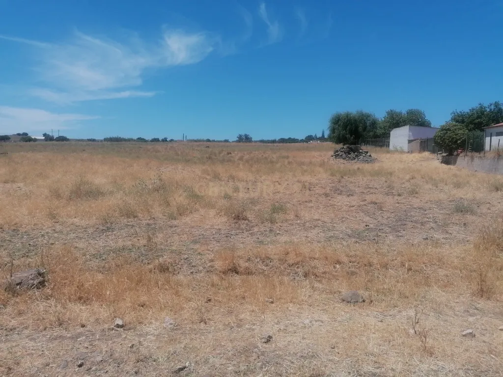 Beja, 2040,150 m2 de Armazéns Diversos instalados em 7190,690 m2 de terrenos Urbanos e ainda 2,5 hectares de terrenos Rústicos - Image 16