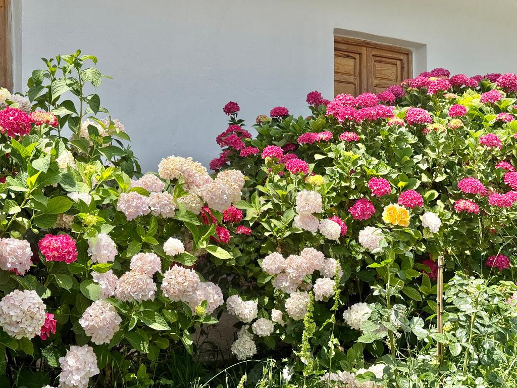 2 CASAS PARA VENDA NA ALPUJARRA DE GRANADA - Image 10