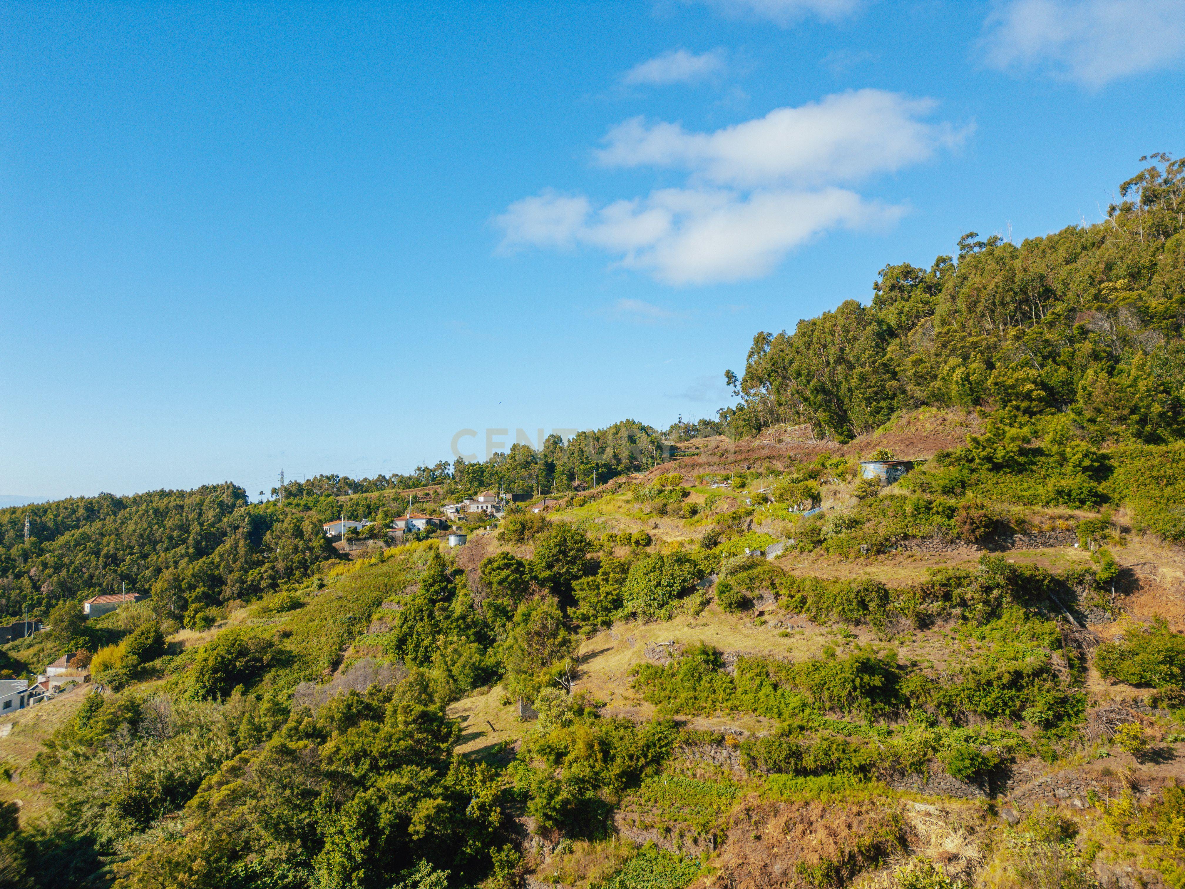Fotografia 5 de Moradia Tradicional Madeirense com Terreno de 1300 m² em Gaula
