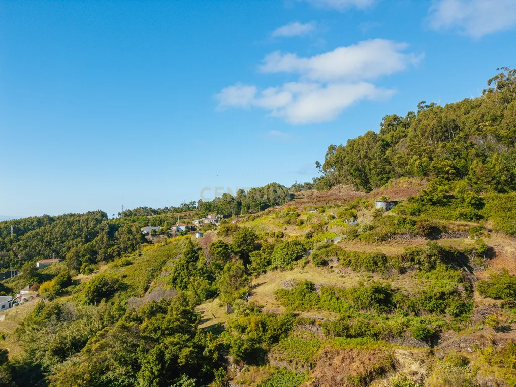 Moradia Tradicional Madeirense com Terreno de 1300 m² em Gaula - Image 5