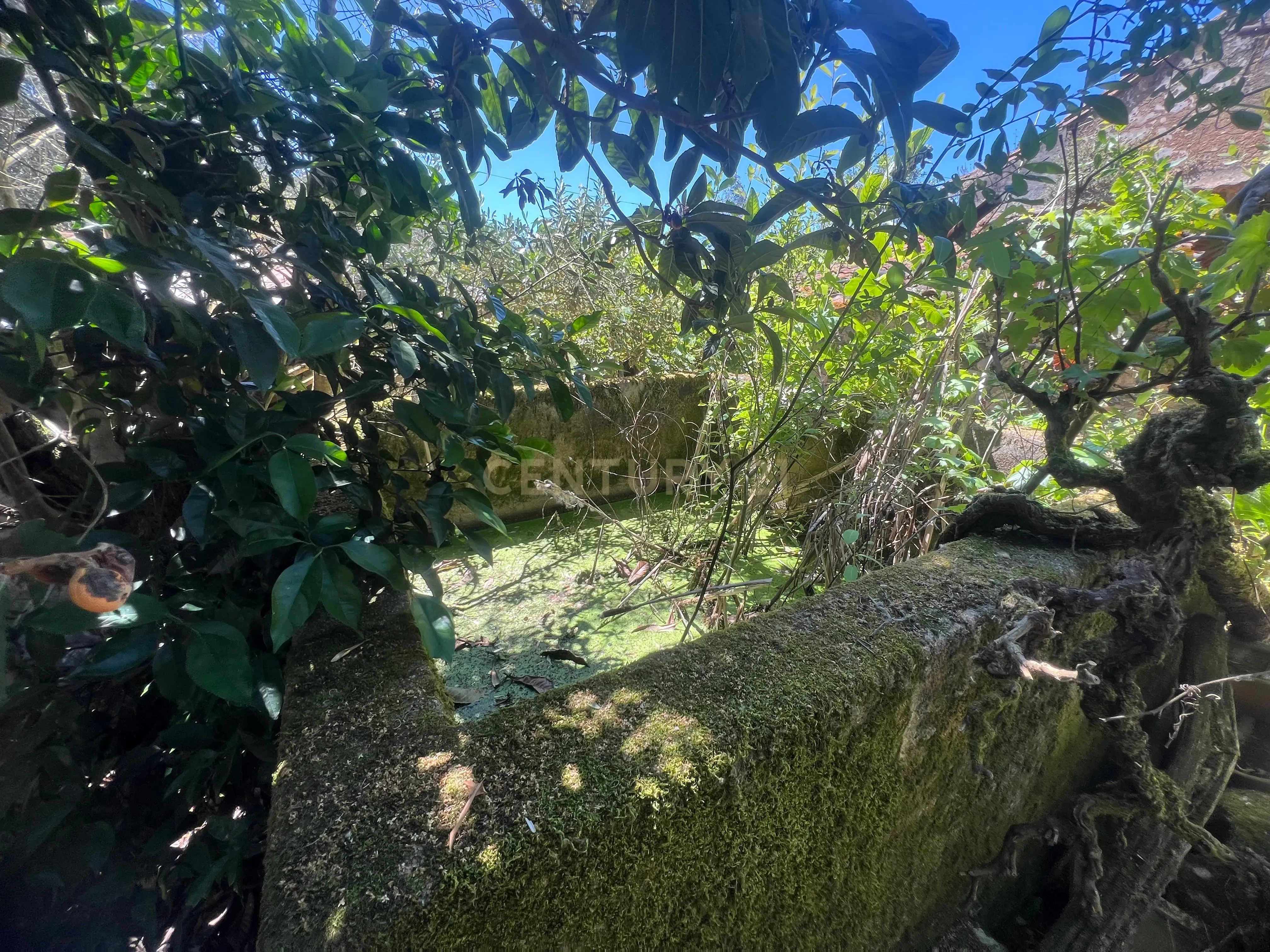 Casa para reconstrução total a 10 min da Praia Fluvial de Aldeia do Mato Abrantes - Image 19