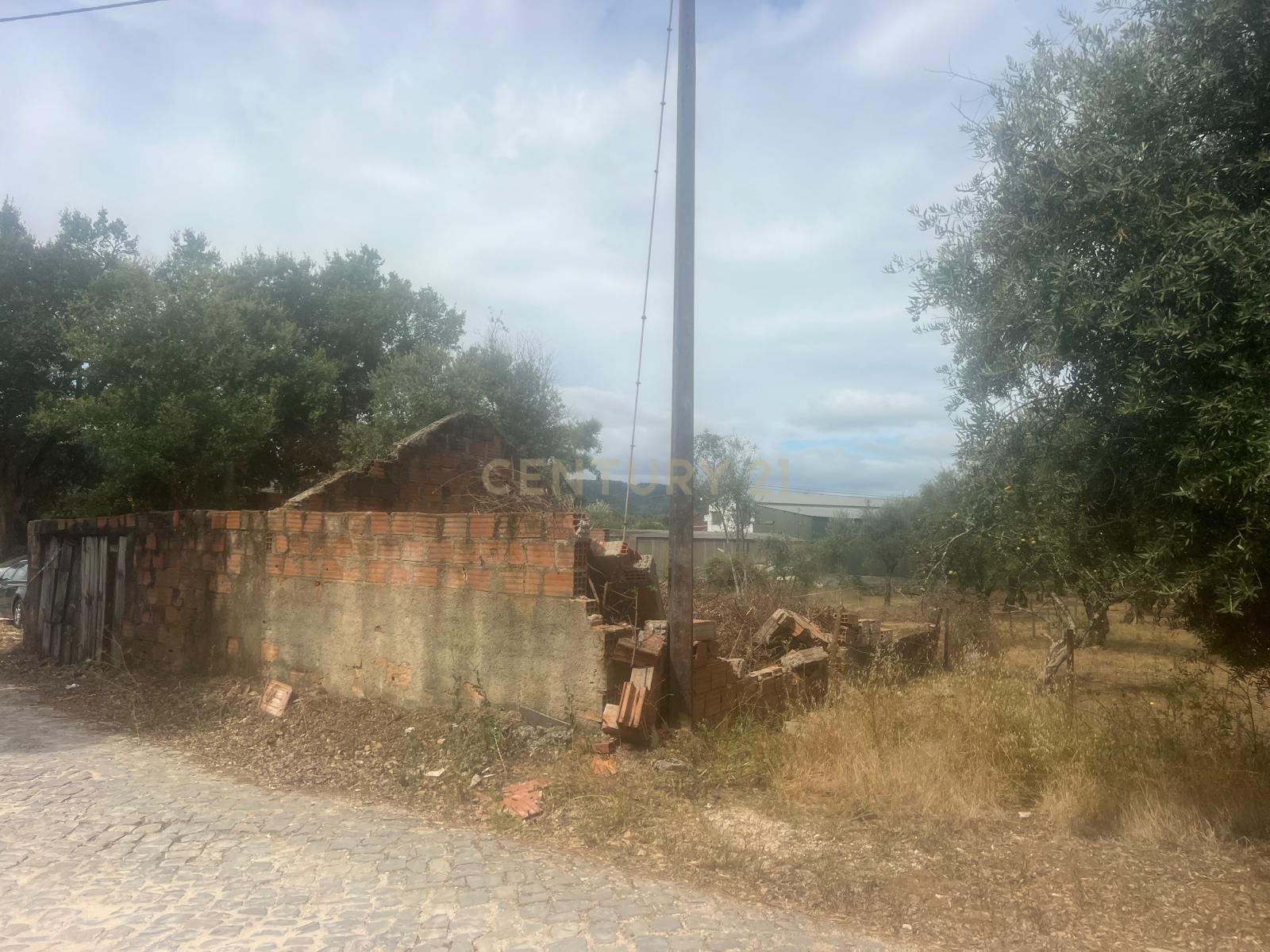 Fotografia 4 de Oportunidade Única: Terreno em Almofala, Figueiró dos Vinhos