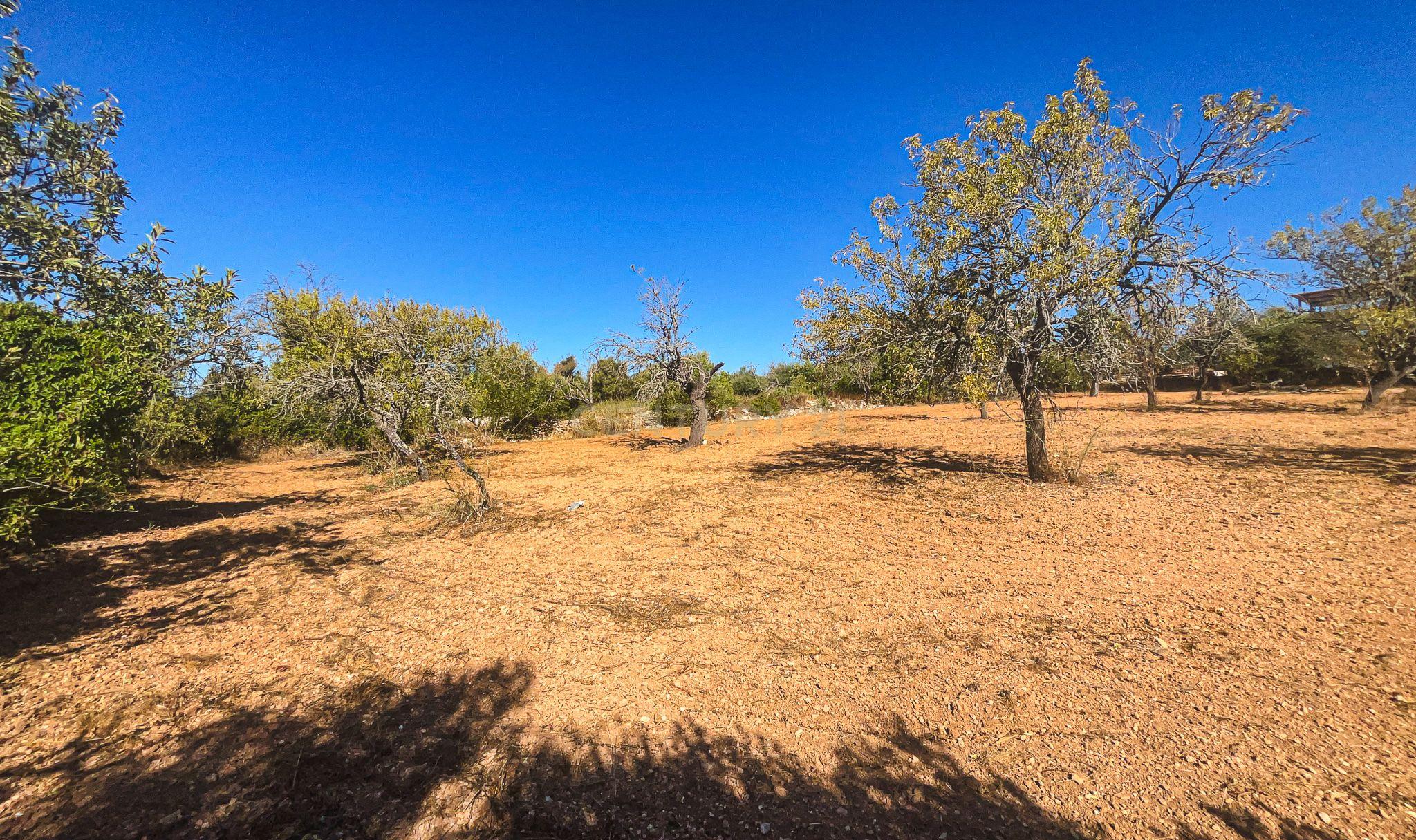 Fotografia 10 de Terreno Rústico com 1.800 m² | Natureza, Privacidade e Excelente Potencial | Paderne