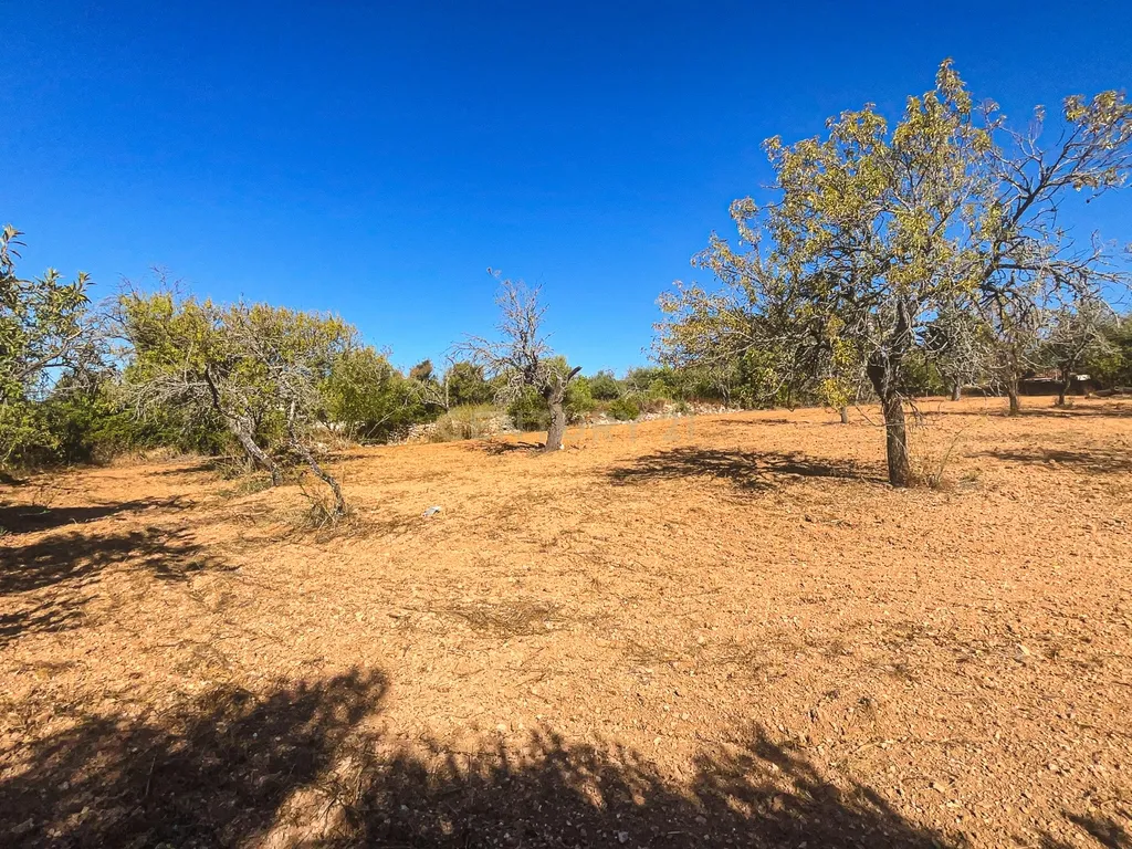 Terreno Rústico com 1.800 m² | Natureza, Privacidade e Excelente Potencial | Paderne - Image 10