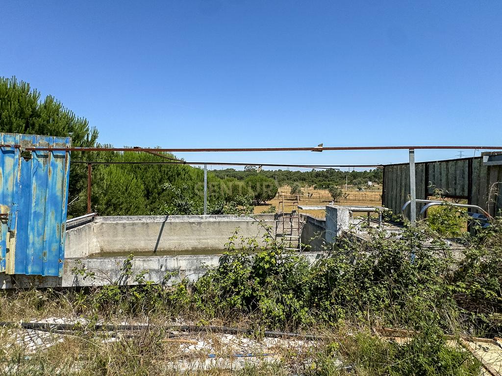 Terreno rústico agrícola, em Pessolhos, Setúbal - Image 22