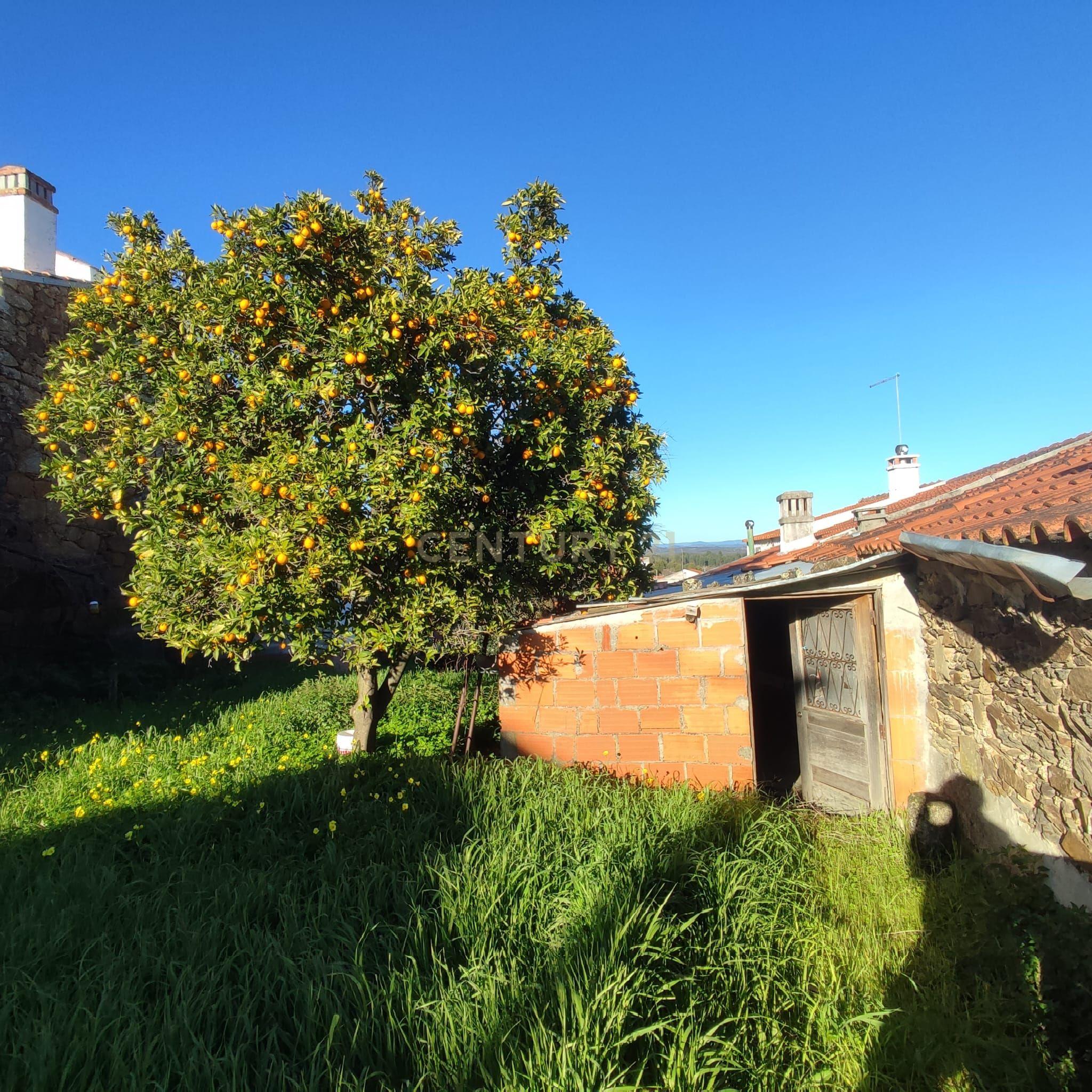 Moradia T2 à venda em Proença-a-Velha, Idanha-a-Nova — foto 33