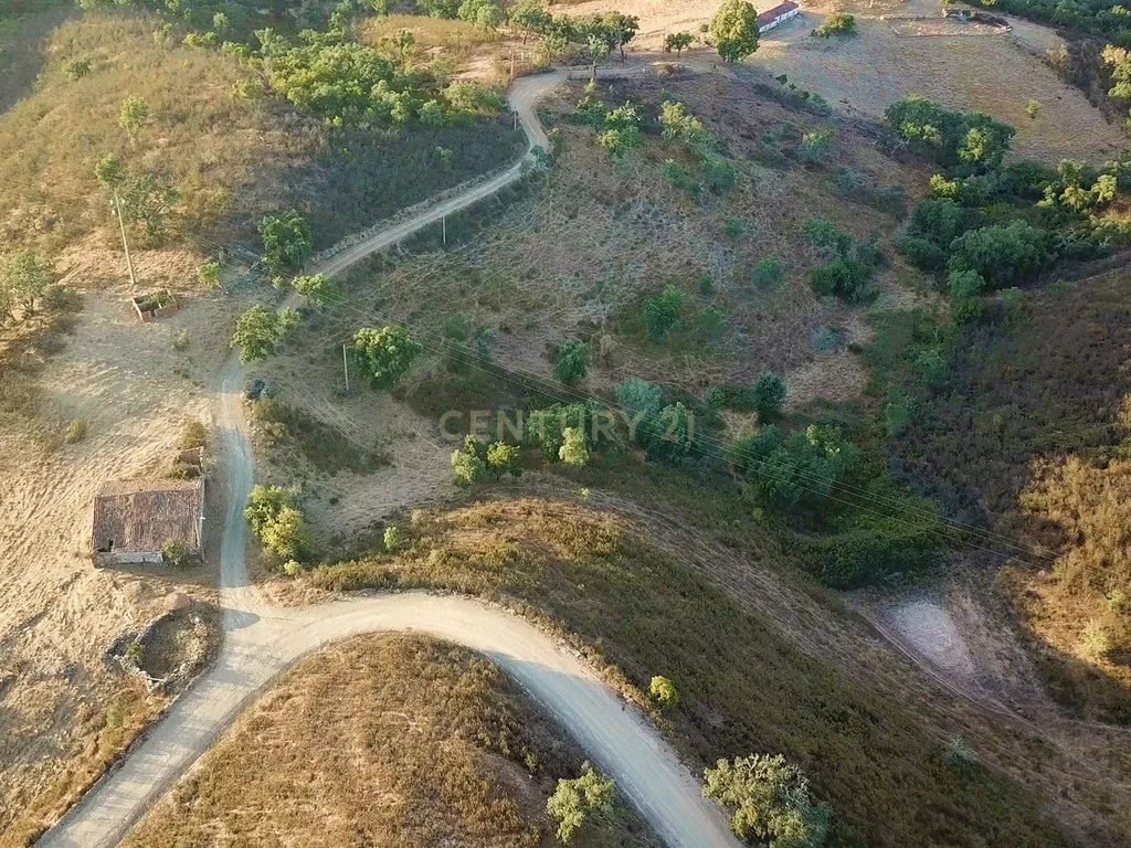 Propriedade com 18 hectares - Um Refúgio de Terra, Tradição e Tranquilidade em Santana da Serra - Image 9