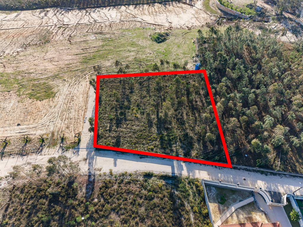 Terreno Rústico com Viabilidade de Construção — Barosa, Leiria - Image 19