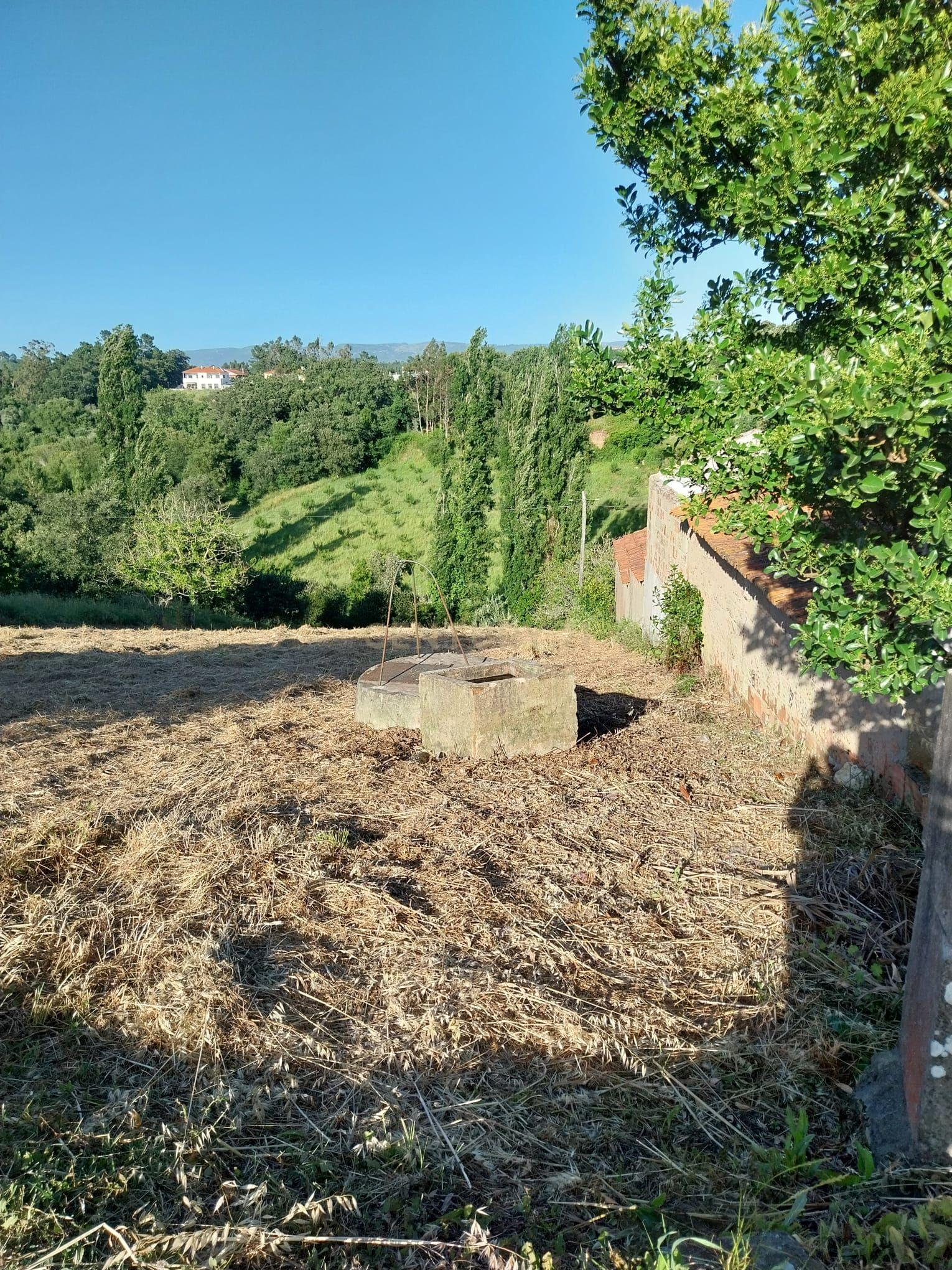 Fotografia 3 de Terreno com Viabilidade de Construção nas Fragosas
