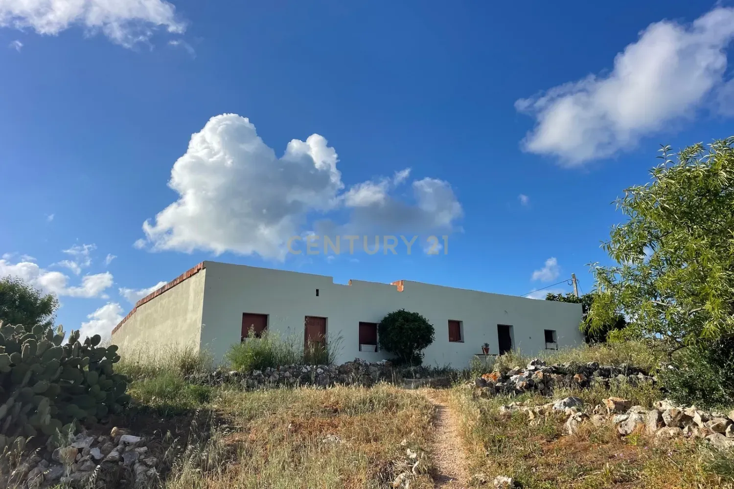 Fotografia 6 de Quinta tradicional com vista deslumbrante e possibilidades para tourismo rural, Almadena, Lagos