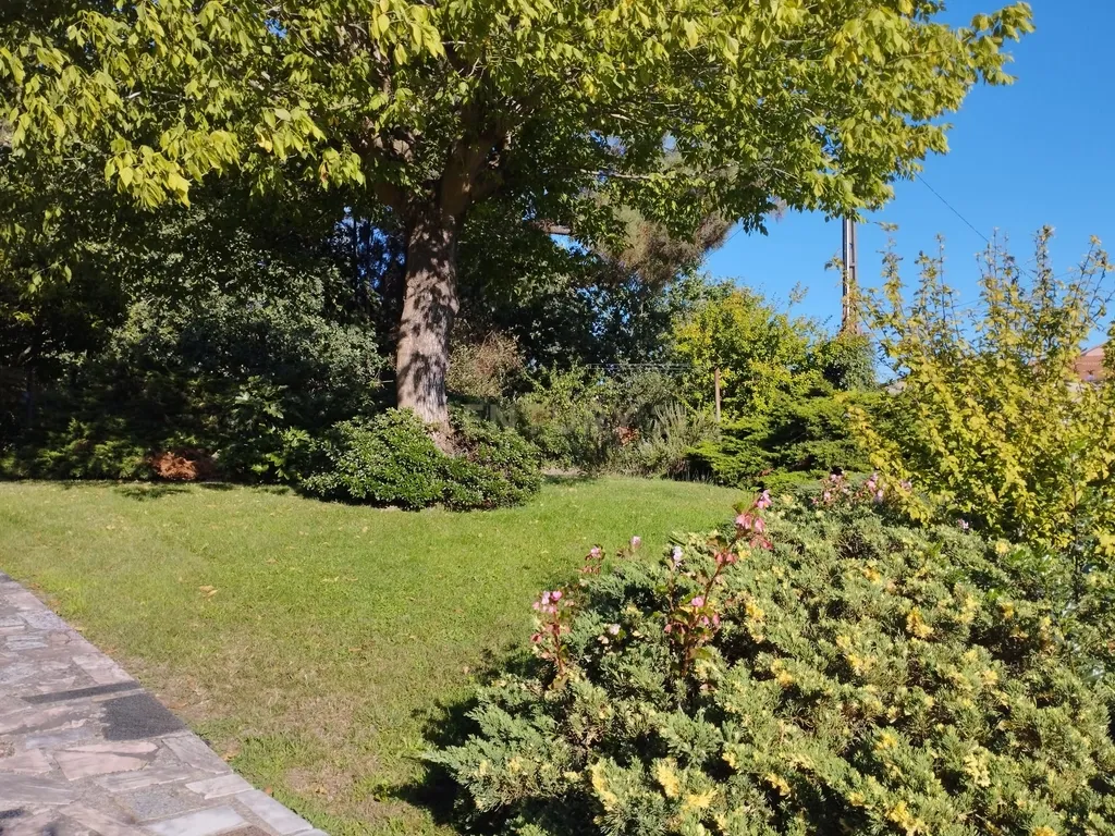 Grande moradia térrea, em Santo Tirso com área de lazer, anexo, jardim e terreno agrícola, Porto - Image 42