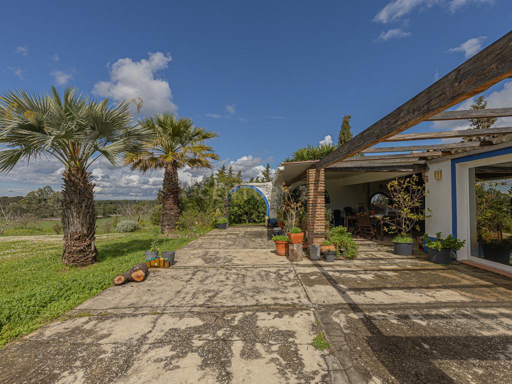 Herdade Das Sesmarias dos Nobres - Venda de propriedade de luxo - Image 19