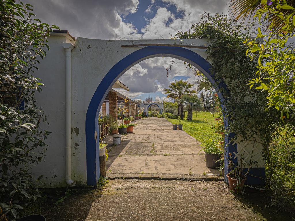Herdade Das Sesmarias dos Nobres - Venda de propriedade de luxo - Image 2