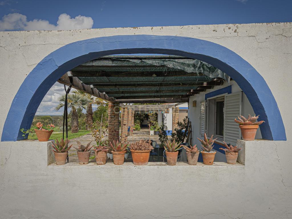 Herdade Das Sesmarias dos Nobres - Venda de propriedade de luxo - Image 24