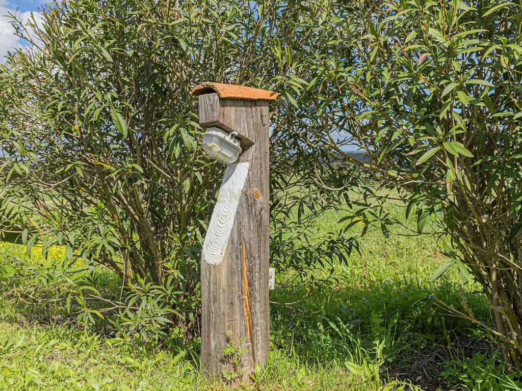 Herdade Das Sesmarias dos Nobres - Venda de propriedade de luxo - Image 64