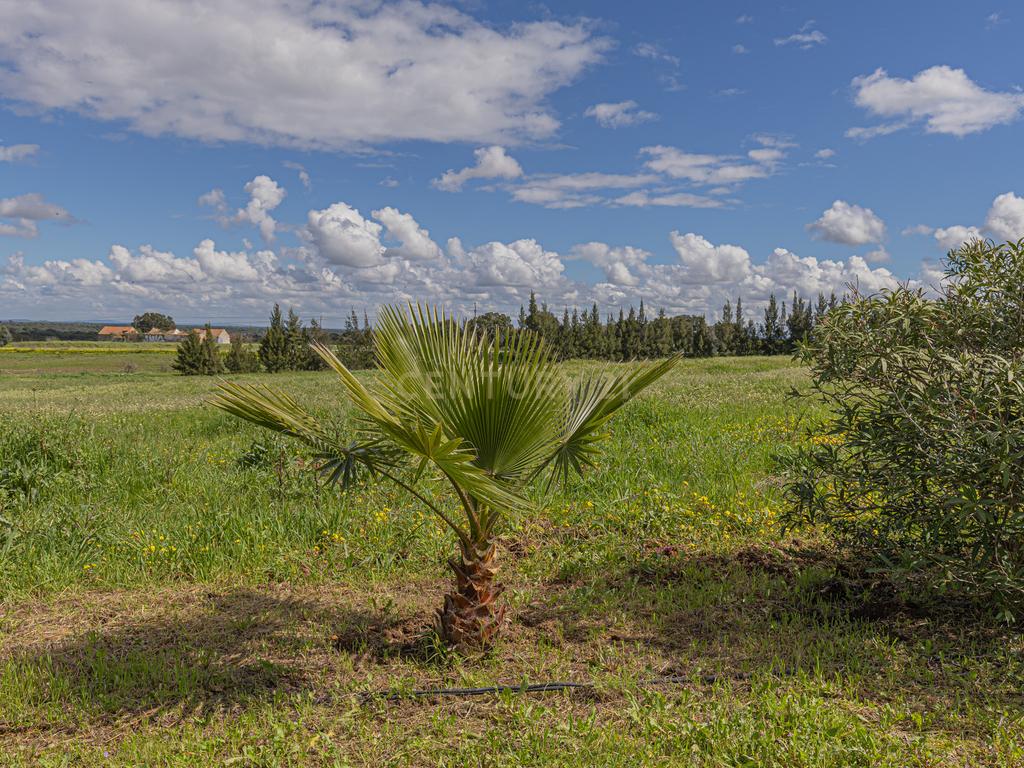 Herdade Das Sesmarias dos Nobres - Venda de propriedade de luxo - Image 58