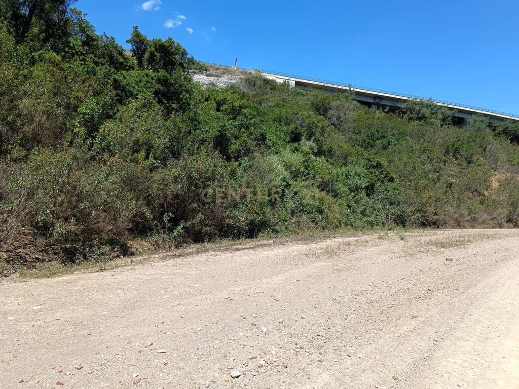Terreno rústico de 112.000m2 em Ladeiras - S. Bartolomeu de Messines  - Silves - Image 6