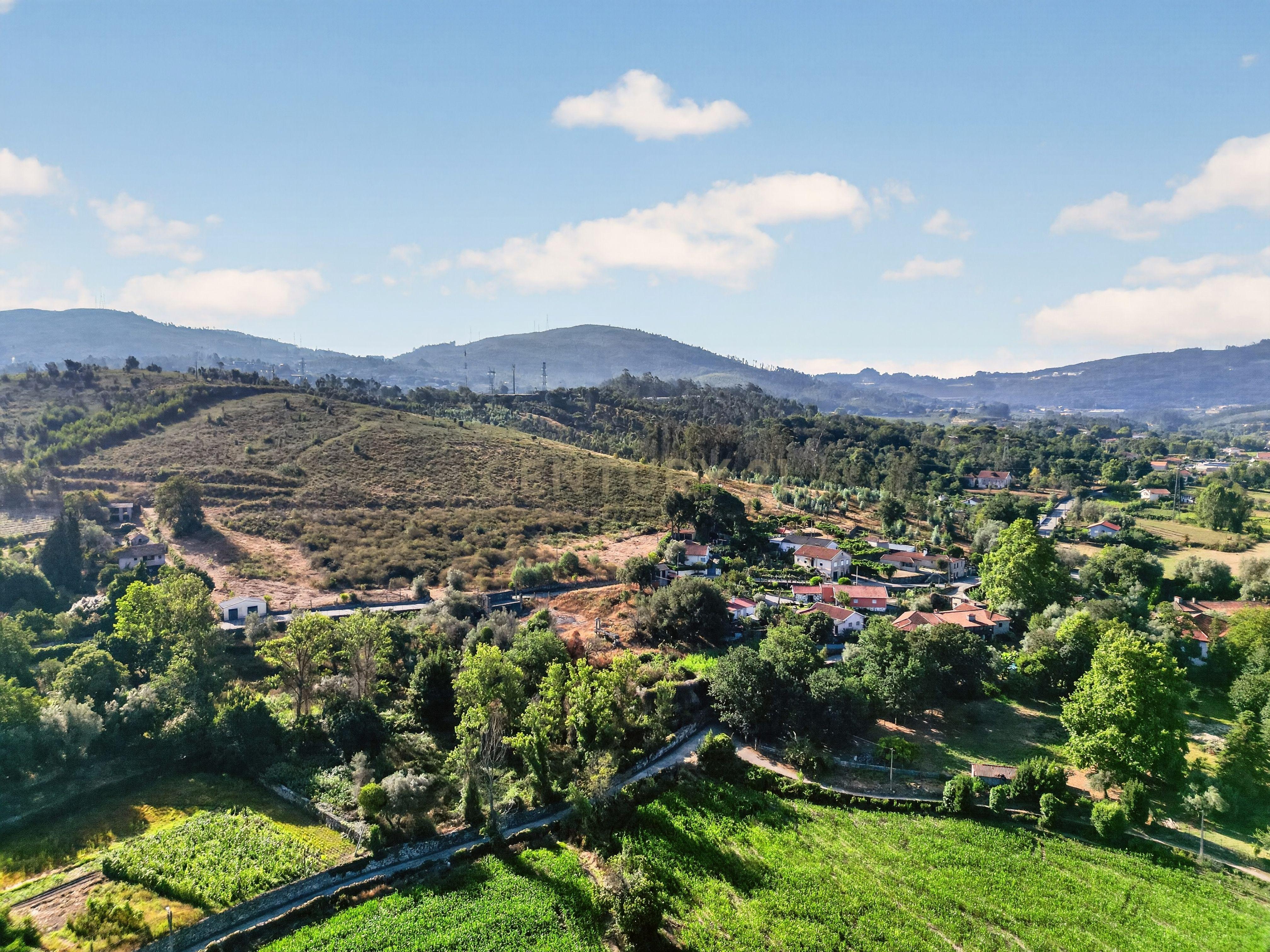 Fotografia 6 de Quinta de Verim – 22.000 m² de história, natureza e potencial