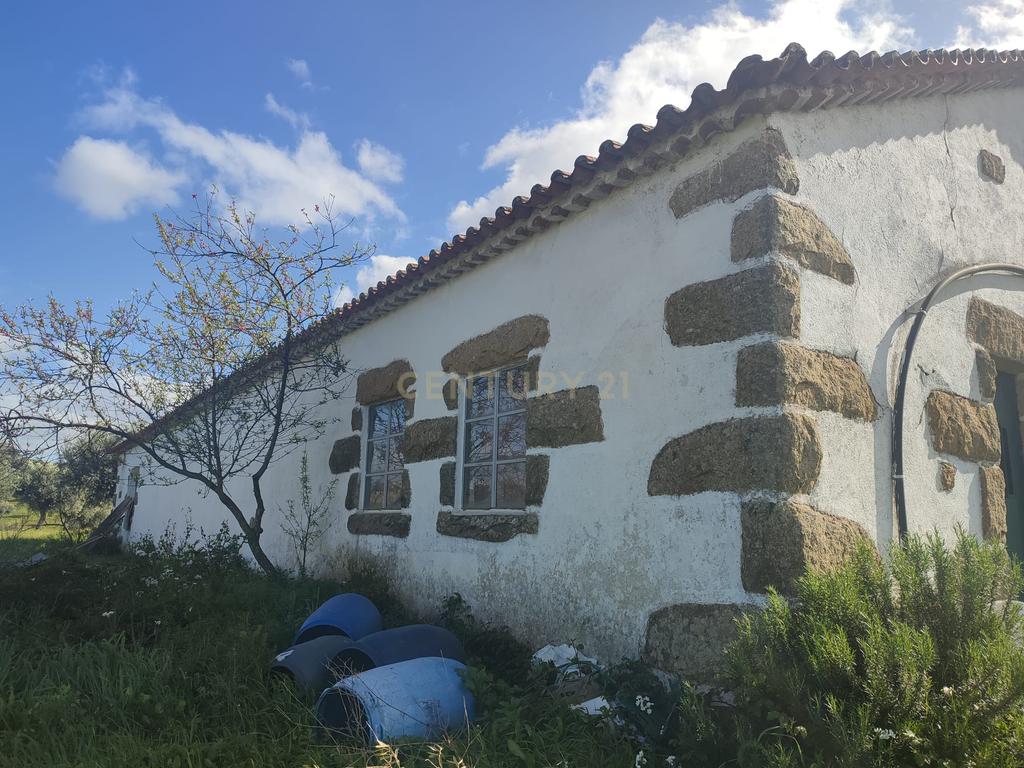 Quinta 54ha, Escalos de Baixo, Castelo Branco - Image 29