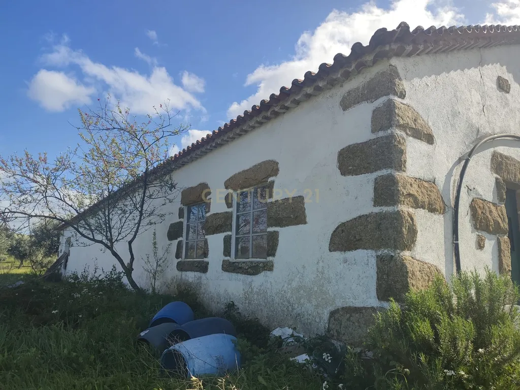 Quinta 54ha, Escalos de Baixo, Castelo Branco - Image 29