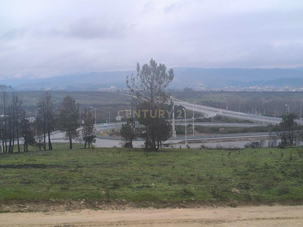 Terreno com vinha e poço - Perto da Zona Industrial de Chaves - Image 4