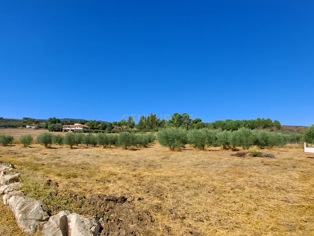 Casa de campo com piscina, vinha, olival, garagem, licença turística e vistas panorâmicas - Ronda, Fuente La Higuera - Image 16