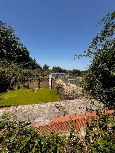 Quinta localizada em Amieira do Tejo, em Nisa, distrito de Portalegre - Image 18