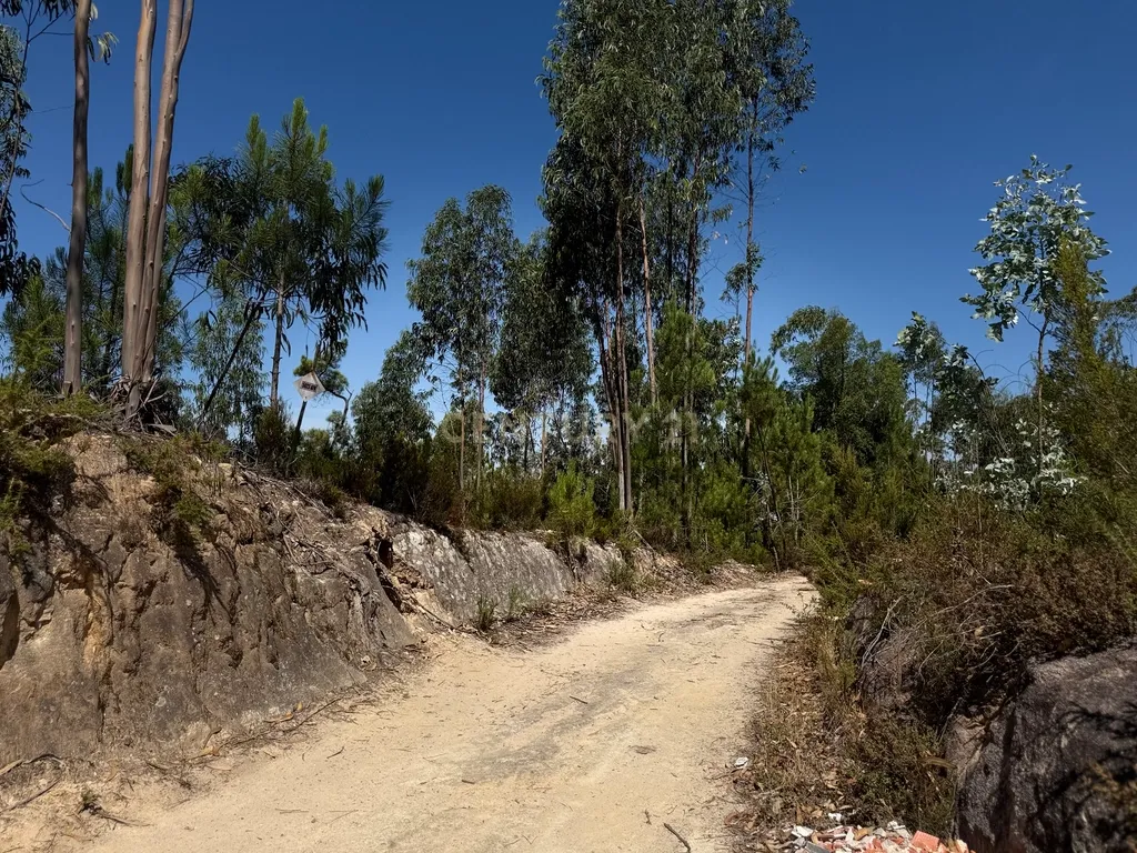 Terreno Urbano em Almalaguês, Coimbra - Image 3