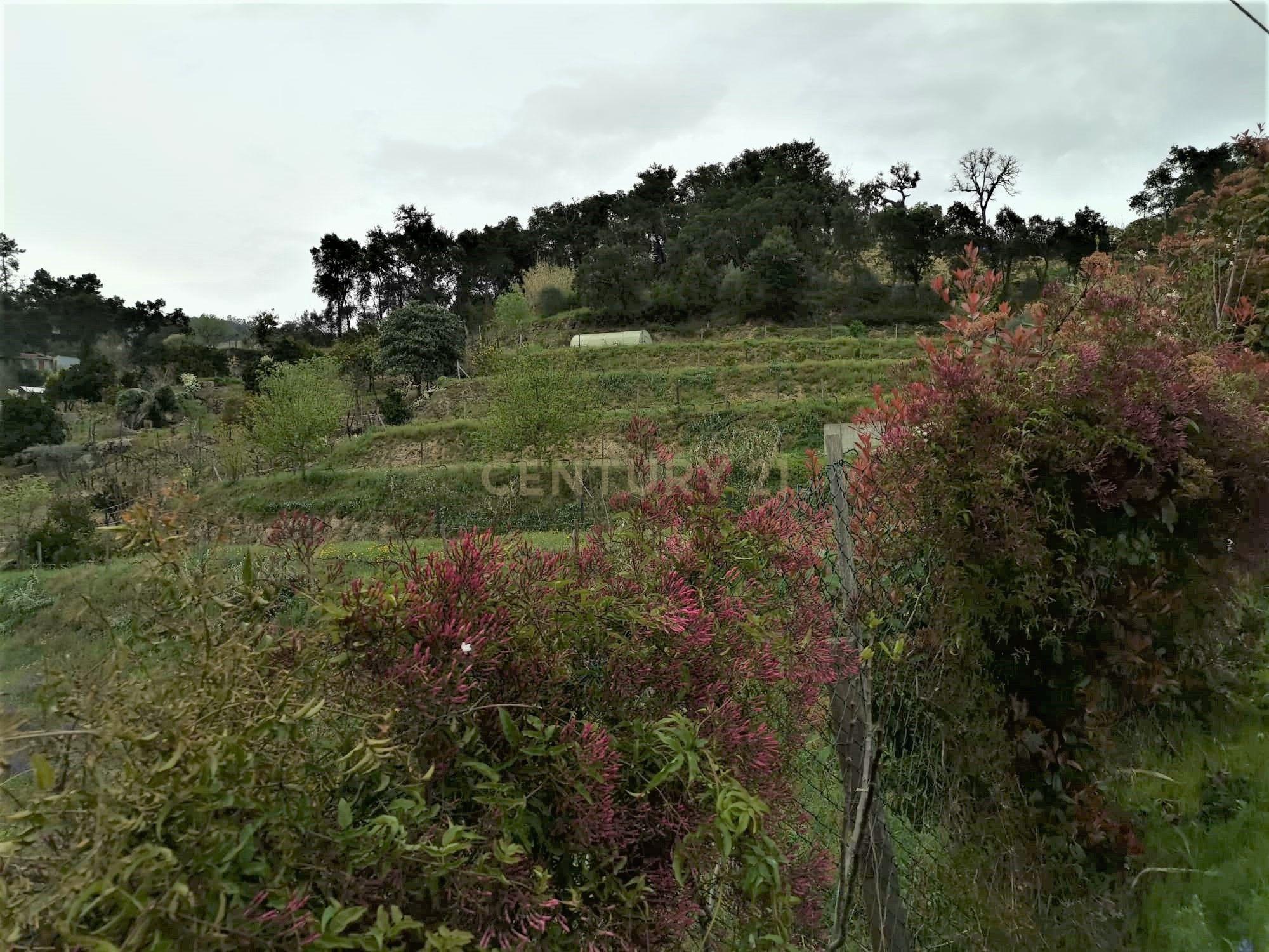 Terreno agrícola com àgua e viabilidade de construção em Granja, S. Tomé de Covelas, Baião, perto do do rio Douro, Porto - Image 22