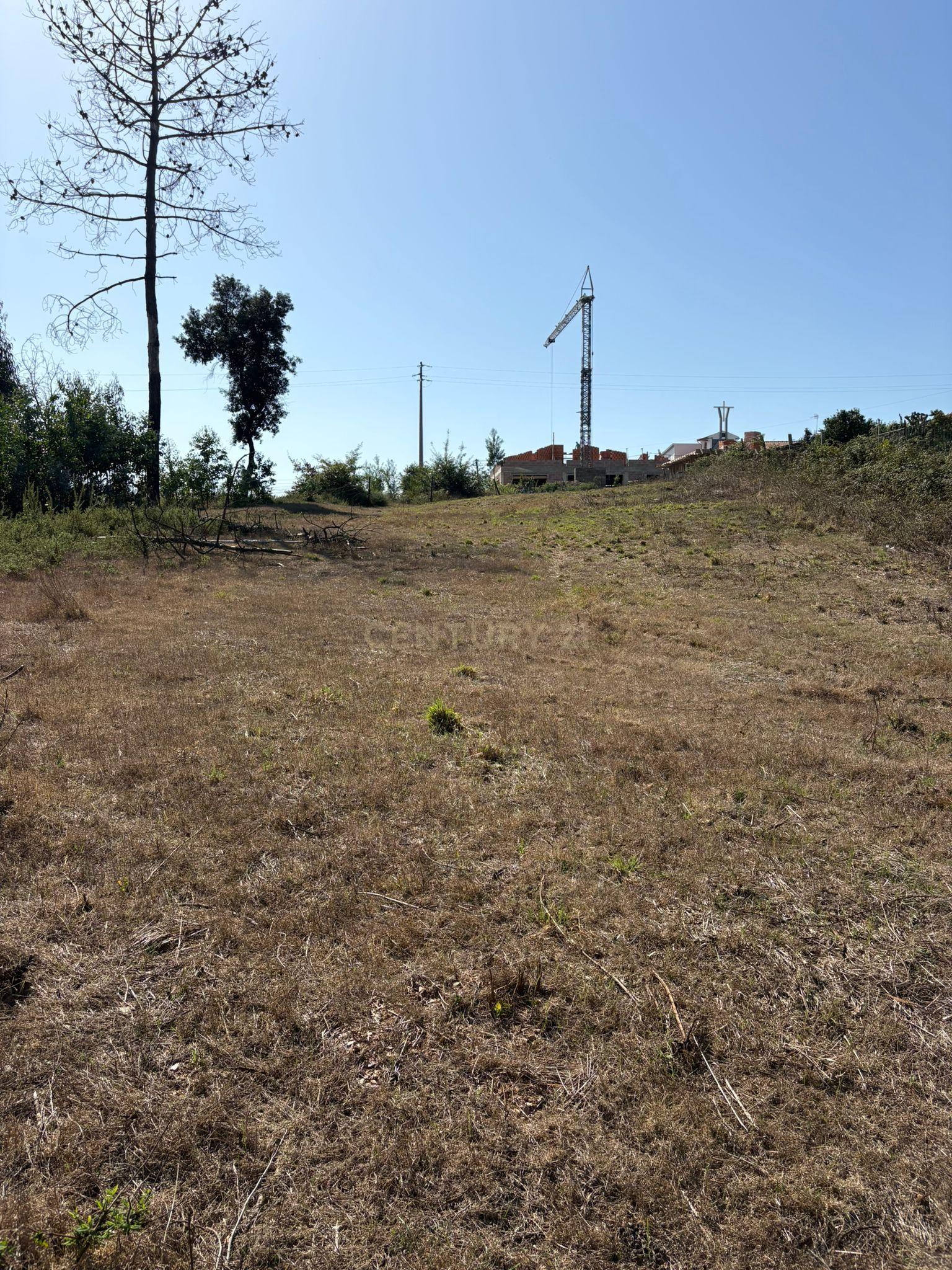 Fotografia 11 de Terreno Urbano em Angeja, Albergaria a Velha