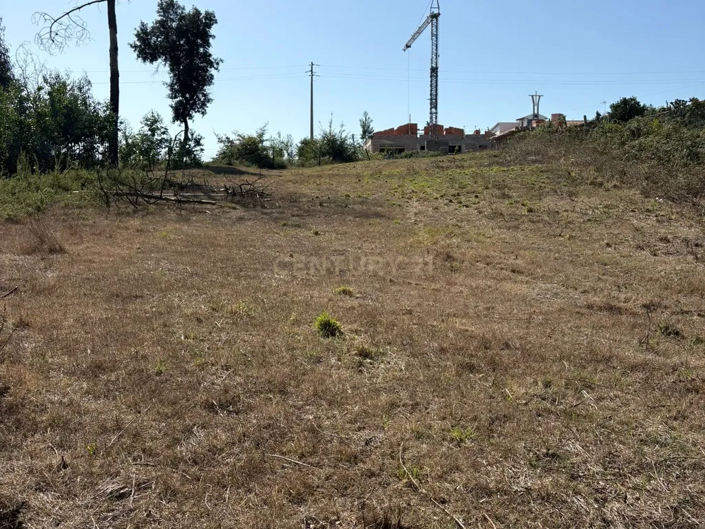 Terreno Urbano em Angeja, Albergaria a Velha - Image 11
