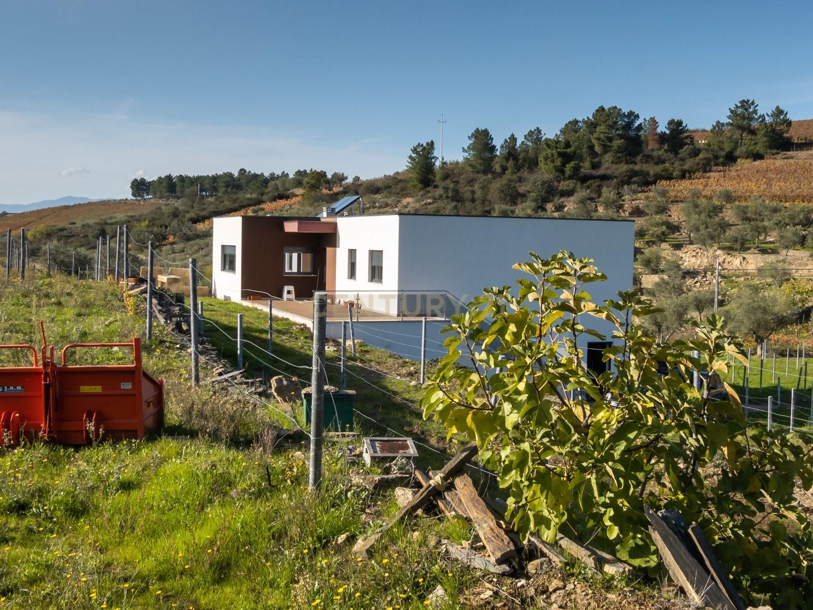 🏡Quinta com Moradia T3 e Vinha no Coração do Alto Douro Vinhateiro – Património Mundial da UNESCO - Image 55